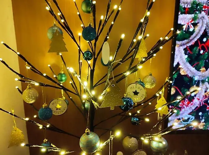 Balkanhill2 S37 Pekovic 公寓 兹拉蒂博尔